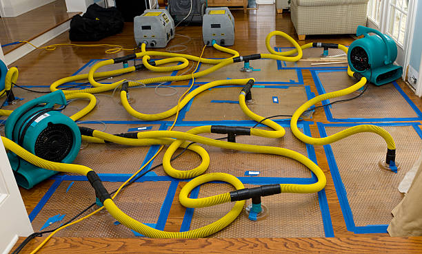 Professional Burst Pipe Water Damage technician working in Omro, WI